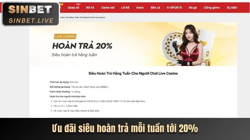 Lợi ích độc quyền của thành viên ee88 VIP